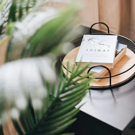 Gemuetliche Oase In Der Altstadt Löbau